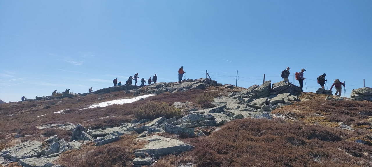 WhatsApp Image 2026-04-08 at 07.40.53 (4)